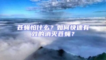 蒼蠅怕什么？如何快速有效的消滅蒼蠅？