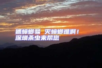 抓蟑螂易 滅蟑螂難??！ 深圳殺蟲來幫您