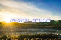 新屋樓梯下 暗藏白蟻巢