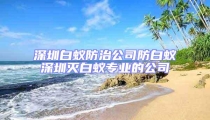 深圳白蟻防治公司防白蟻深圳滅白蟻專業(yè)的公司