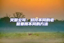 滅鼠公司：對(duì)付不同的老鼠要用不同的方法