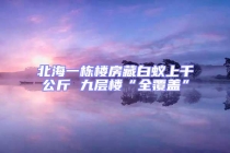 北海一棟樓房藏白蟻上千公斤 九層樓“全覆蓋”