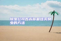 除蟲公司告訴你最佳滅臭蟲的方法