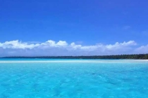 臭蟲(chóng)危害多，如何消滅臭蟲(chóng)？