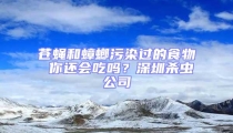 蒼蠅和蟑螂污染過的食物 你還會(huì)吃嗎？深圳殺蟲公司