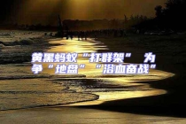 黃黑螞蟻“打群架” 為爭“地盤”“浴血奮戰”