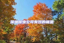 深圳除蟲公司有效的就是
