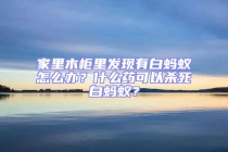 家里木柜里發(fā)現(xiàn)有白螞蟻怎么辦？什么藥可以殺死白螞蟻？