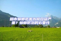 超市蟑螂危害為何日益嚴重？蟑螂防治的必要性