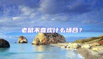 老鼠不喜歡什么場(chǎng)合？