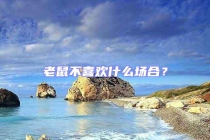 老鼠不喜歡什么場合？