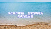 3000年后，白蟻將成為地球統治者