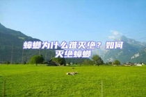 蟑螂為什么難滅絕？如何滅絕蟑螂