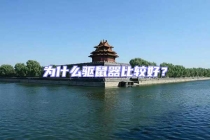 為什么驅鼠器比較好？