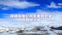深圳殺蟲公司專家教您室內如何滅鼠