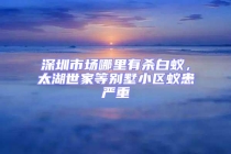 深圳市場哪里有殺白蟻，太湖世家等別墅小區蟻患嚴重