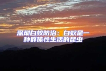 深圳白蟻防治：白蟻是一種群體性生活的昆蟲(chóng)