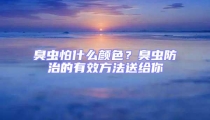 臭蟲(chóng)怕什么顏色？臭蟲(chóng)防治的有效方法送給你