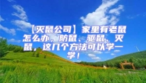 【滅鼠公司】家里有老鼠怎么辦，防鼠、驅(qū)鼠、滅鼠，這幾個方法可以學(xué)一學(xué)！