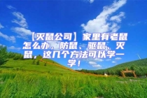 【滅鼠公司】家里有老鼠怎么辦，防鼠、驅鼠、滅鼠，這幾個方法可以學一學！