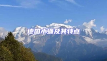 德國小蠊及其特點(diǎn)