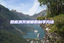 徹底消滅蟑螂的科學方法