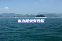 家庭除蟻有妙招