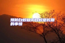 預(yù)防白蟻和滅白蟻是長期的事情