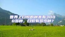 世界上白蟻的種類有3000多種，白蟻有多少種？