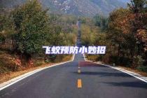 飛蟻預(yù)防小妙招