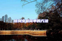 除臭蟲(chóng)最簡(jiǎn)單的方法