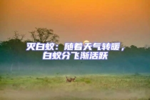 滅白蟻：隨著天氣轉暖，白蟻分飛漸活躍