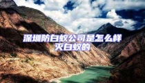 深圳防白蟻公司是怎么樣滅白蟻的