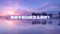 果園中有白蟻怎么消滅？