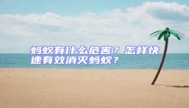 螞蟻有什么危害？怎樣快速有效消滅螞蟻？