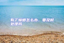 有了蟑螂怎么辦、要及時處理嗎