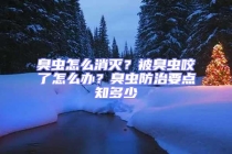 臭蟲怎么消滅？被臭蟲咬了怎么辦？臭蟲防治要點(diǎn)知多少