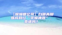 【除蟑螂公司】白額高腳蛛成網紅“滅蟑神器”，靠譜嗎？