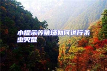 小提示養(yǎng)殖場(chǎng)如何進(jìn)行殺蟲(chóng)滅鼠