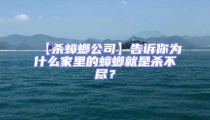 【殺蟑螂公司】告訴你為什么家里的蟑螂就是殺不盡？