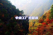 專業工廠滅鼠選