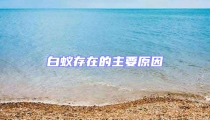 白蟻存在的主要原因