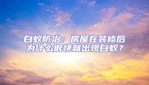 白蟻防治：房屋在裝修后為什么很快就出現(xiàn)白蟻？