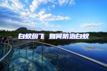 白蟻紛飛 如何防治白蟻