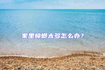 家里蟑螂太多怎么辦？