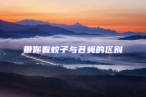 帶你看蚊子與蒼蠅的區(qū)別