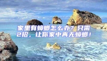 家里有蟑螂怎么辦？只需2招，讓你家中再無蟑螂！