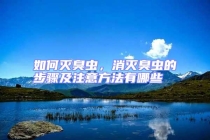 如何滅臭蟲，消滅臭蟲的步驟及注意方法有哪些