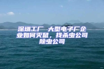 深圳工廠 大型電子廠企業(yè)如何滅鼠，找殺蟲公司除蟲公司