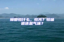 蟑螂怕什么，怕光？怕味道還是氣味？